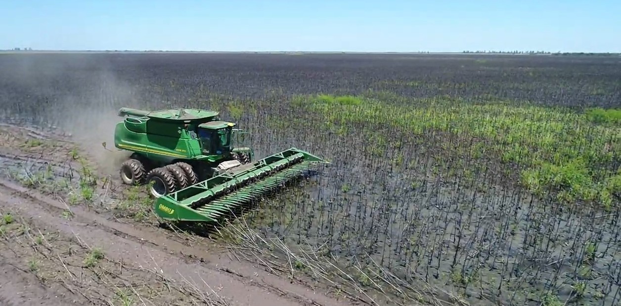 Chaco: el drama de las inundaciones en primera persona