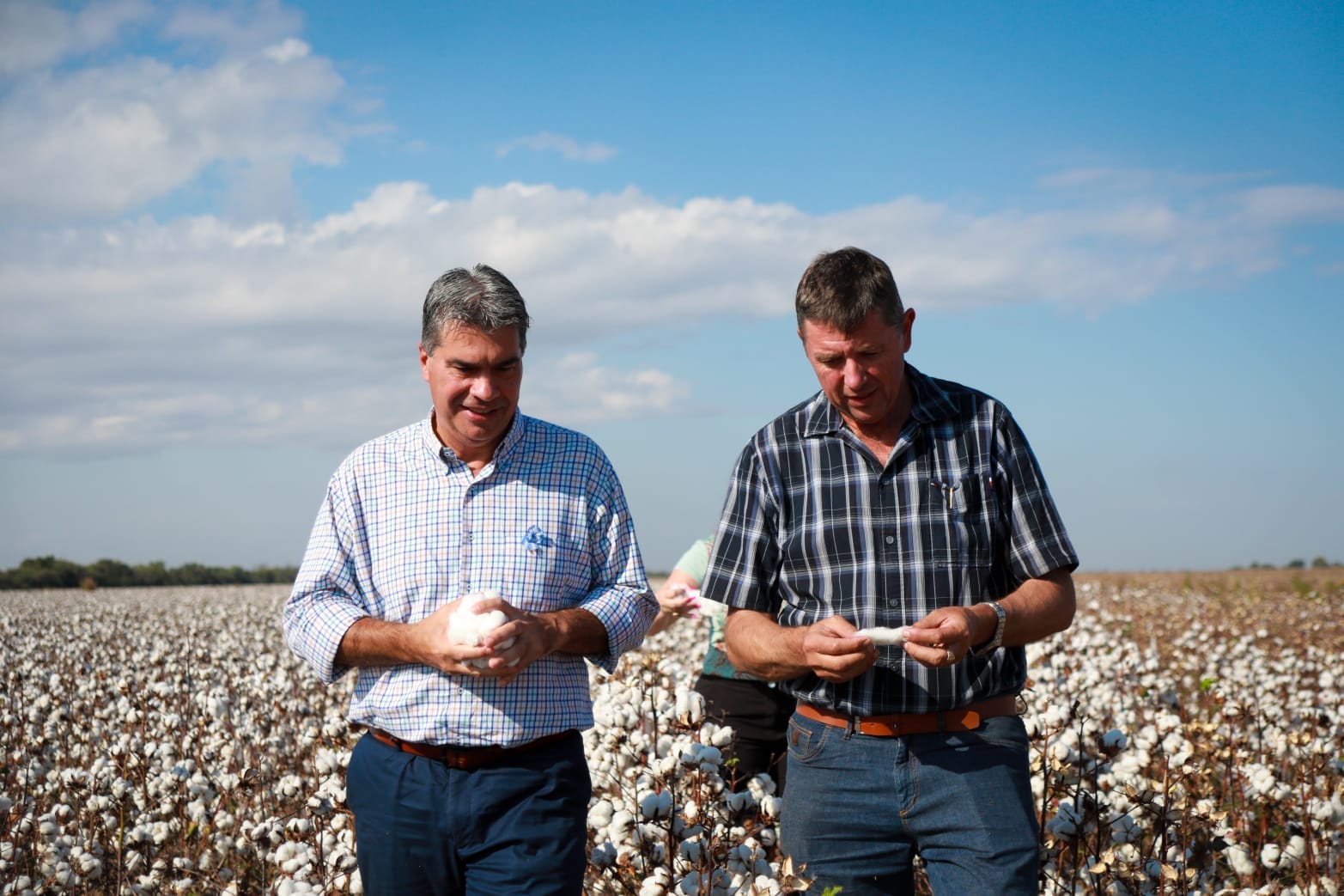 En Charata, Capitanich recorrió el lote de algodón de los grupos Xima e Italar