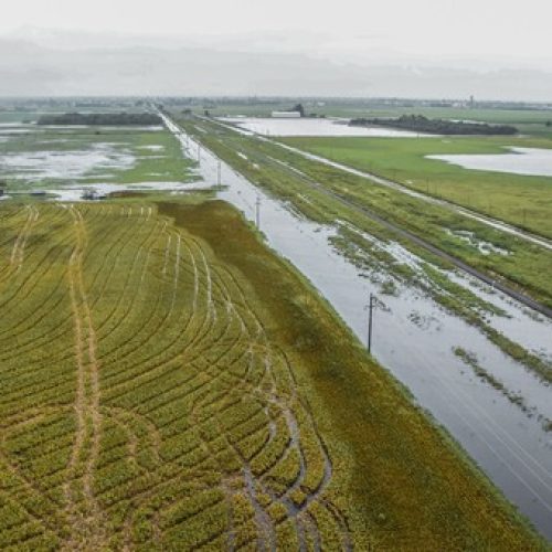 Las inundaciones que provocaron las lluvias vuelven a golpear al campo en Chaco