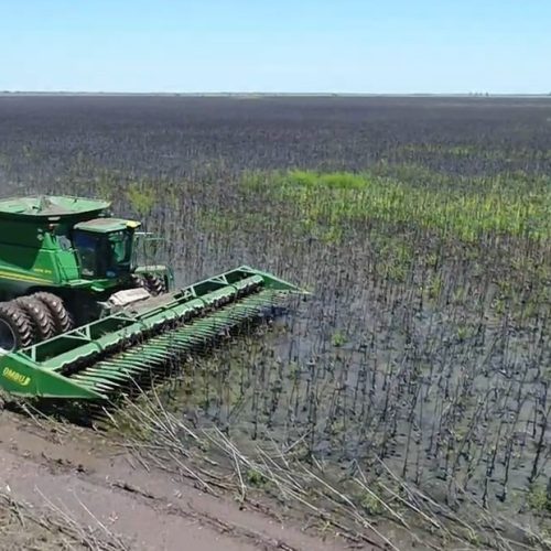 Chaco: el drama de las inundaciones en primera persona